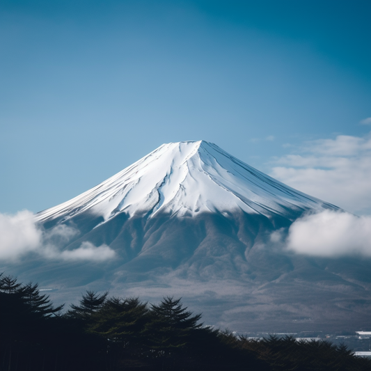 日本のフルーエントペット