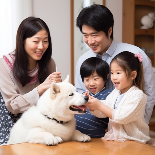 犬、ペットの人気の商品